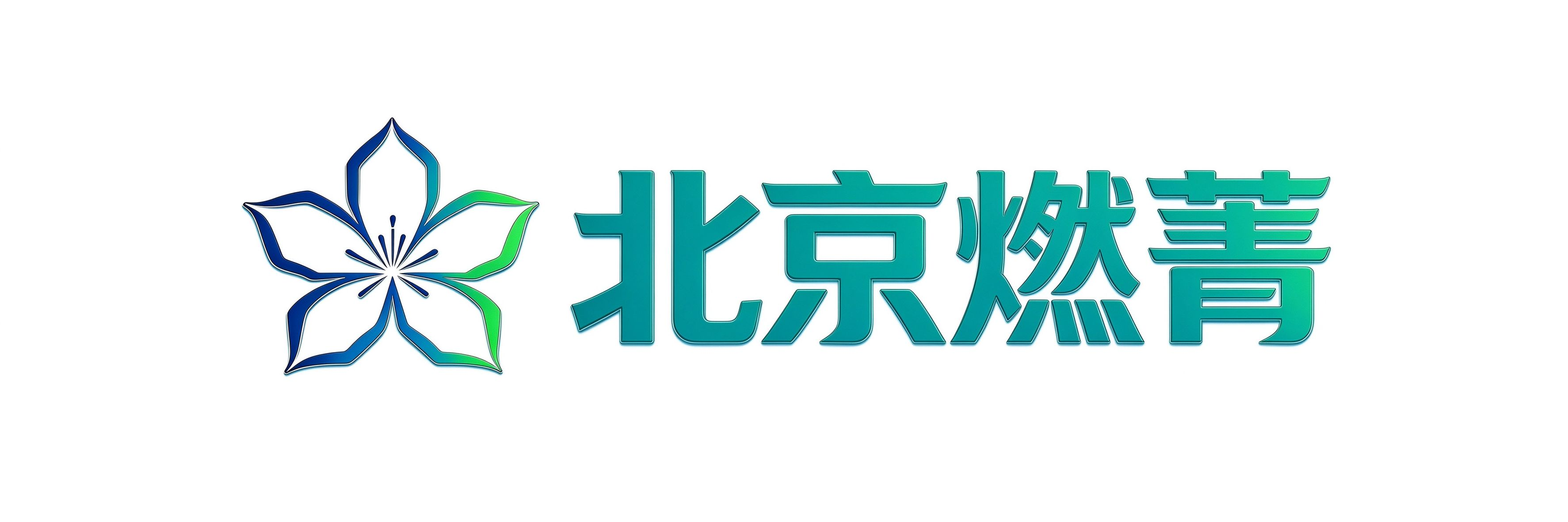 北京燃菁信息科技